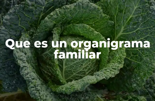 Que es un Organigrama Familiar