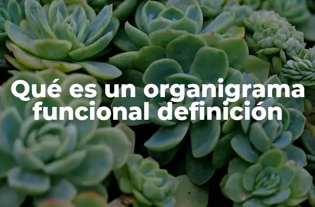 Qué es un Organigrama Funcional Definición