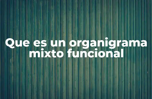 Que es un Organigrama Mixto Funcional