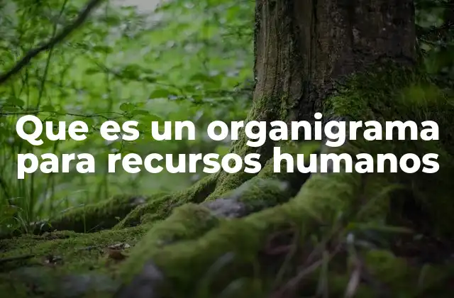 Que es un Organigrama para Recursos Humanos
