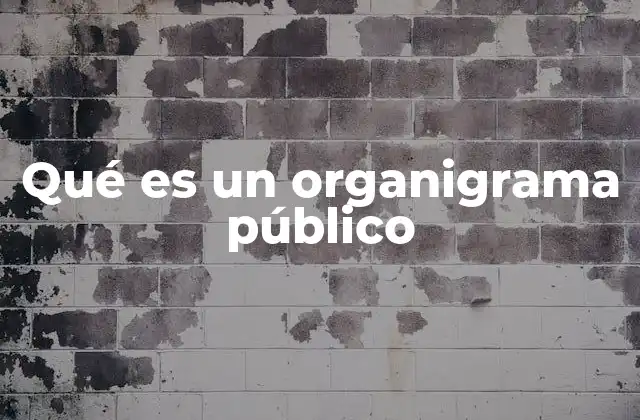 Qué es un Organigrama Público