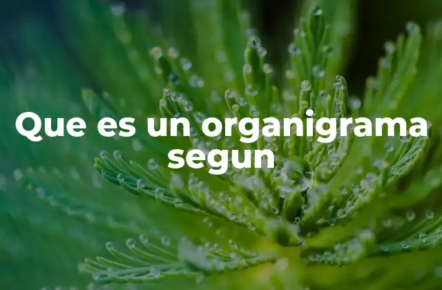 Que es un Organigrama Segun