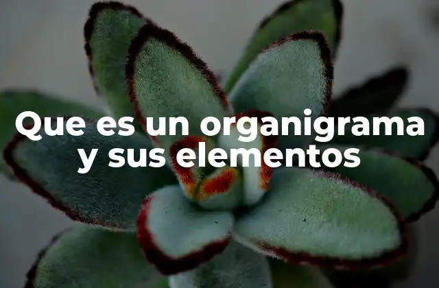 Que es un Organigrama y Sus Elementos