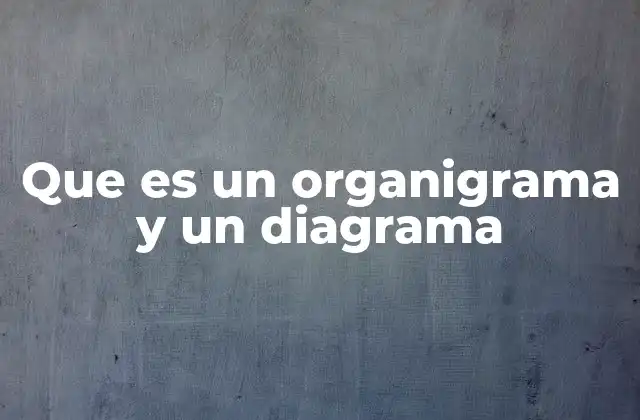 Que es un Organigrama y un Diagrama