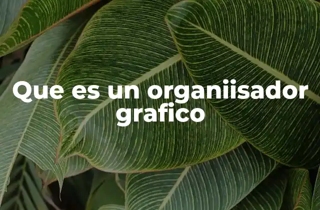 Que es un Organiisador Grafico