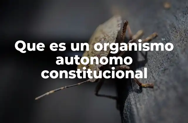 Que es un Organismo Autonomo Constitucional