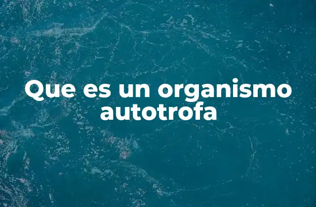 Que es un Organismo Autotrofa