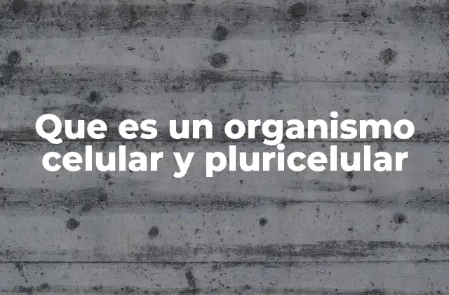 Que es un Organismo Celular y Pluricelular