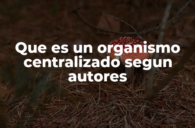 Que es un Organismo Centralizado Segun Autores