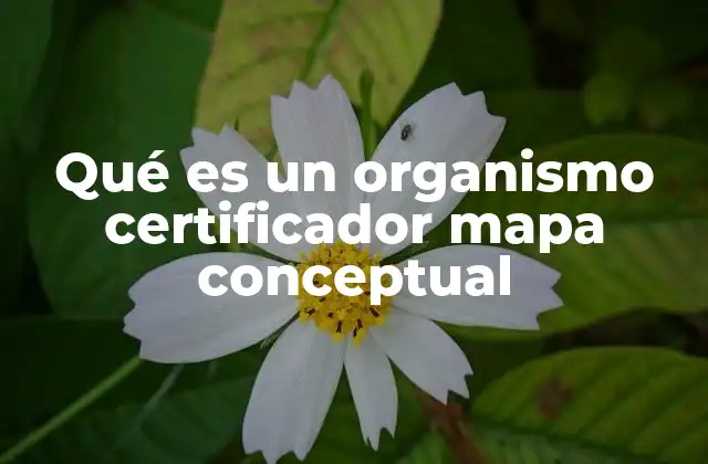 Qué es un Organismo Certificador Mapa Conceptual