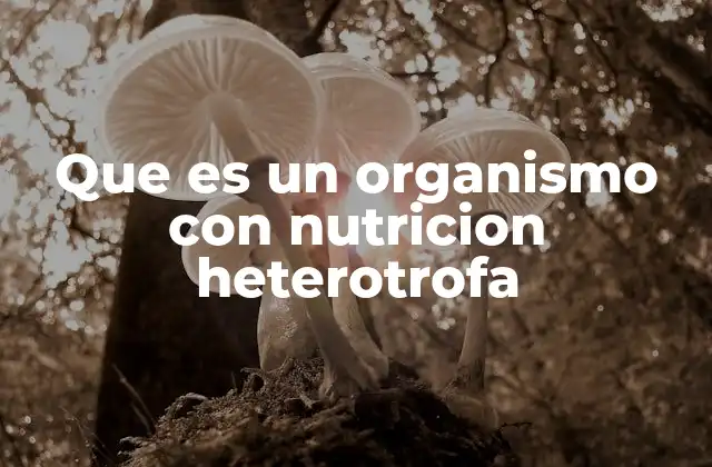 Que es un Organismo con Nutricion Heterotrofa