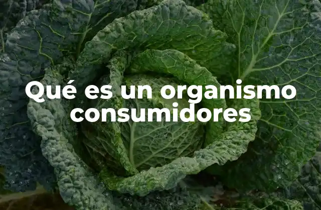 Qué es un Organismo Consumidores