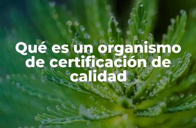 Qué es un Organismo de Certificación de Calidad
