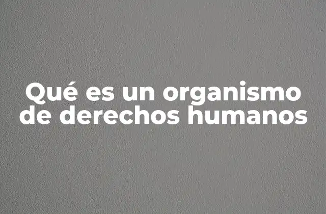 Qué es un Organismo de Derechos Humanos