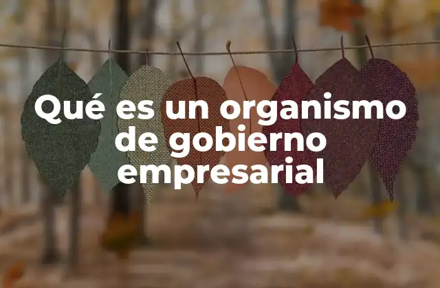 Qué es un Organismo de Gobierno Empresarial