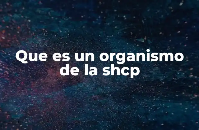 Que es un Organismo de la Shcp 2 Funciones y responsabilidades de los organismos de la SHCP