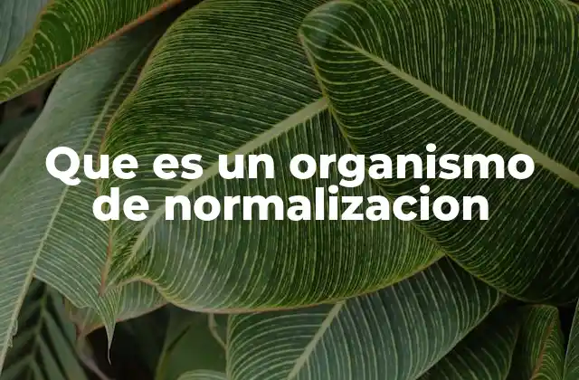 Que es un Organismo de Normalizacion