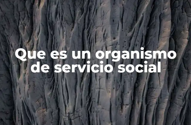 Que es un Organismo de Servicio Social