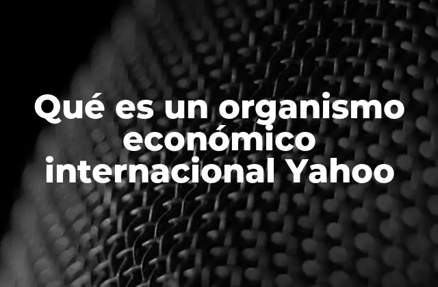 Qué es un Organismo Económico Internacional Yahoo