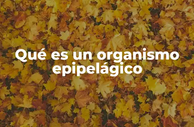 Qué es un Organismo Epipelágico