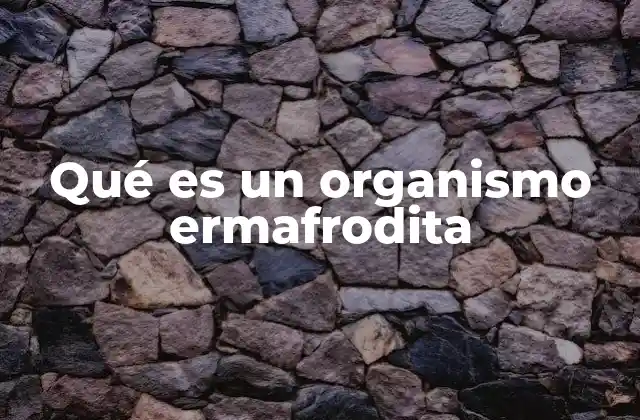 Qué es un Organismo Ermafrodita 2 La importancia biológica del hermafroditismo en la naturaleza