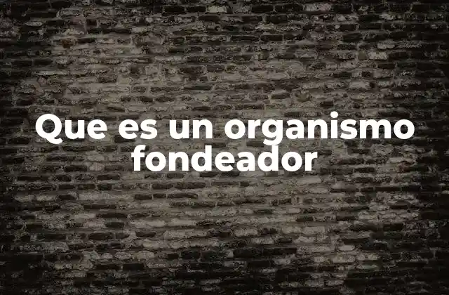 Que es un Organismo Fondeador