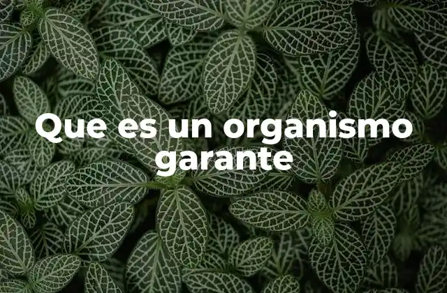 Que es un Organismo Garante