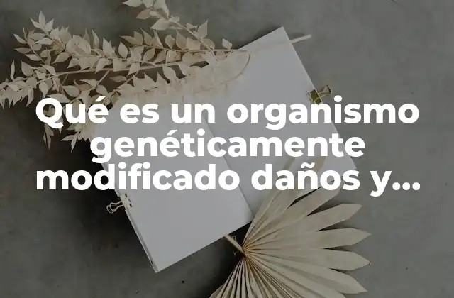 Qué es un Organismo Genéticamente Modificado Daños y Beneficios