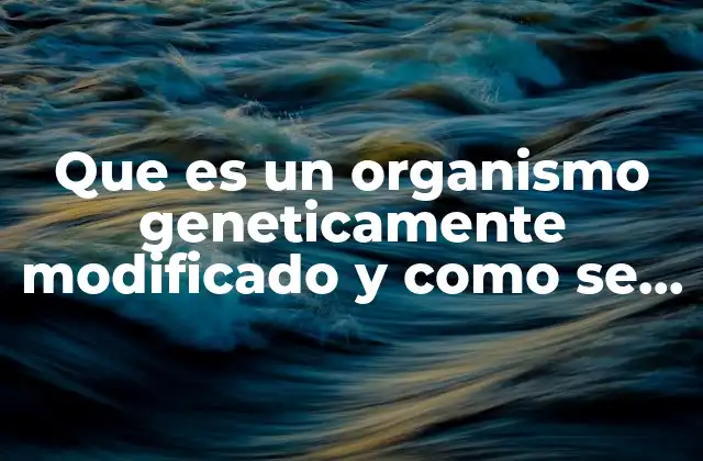 Que es un Organismo Geneticamente Modificado y como Se Produce