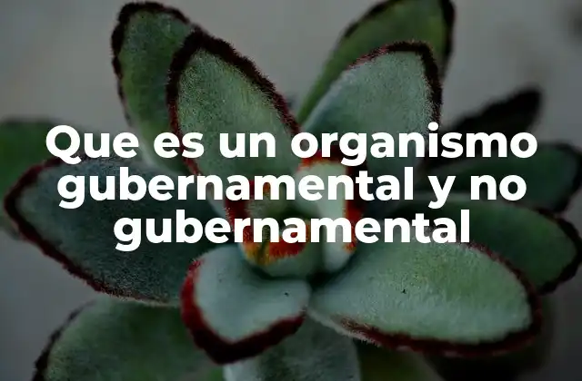 Que es un Organismo Gubernamental y No Gubernamental