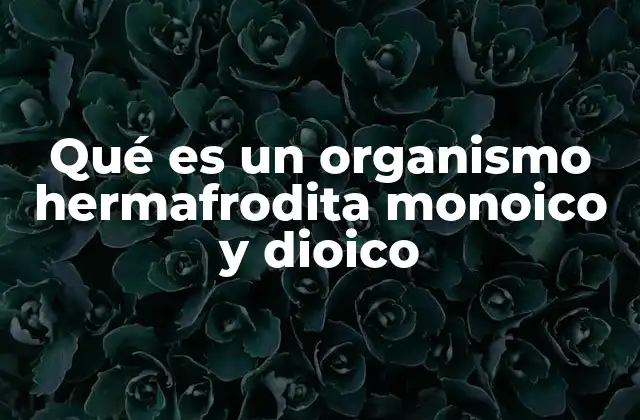 Qué es un Organismo Hermafrodita Monoico y Dioico