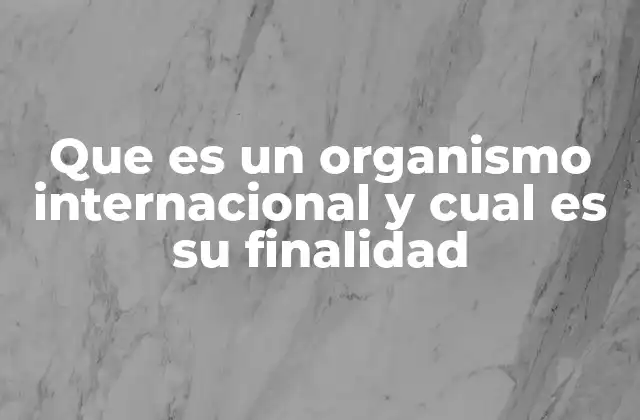 El papel de los organismos internacionales en el sistema global