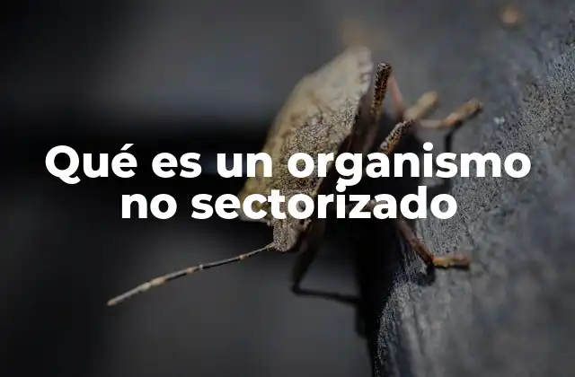 Qué es un Organismo No Sectorizado