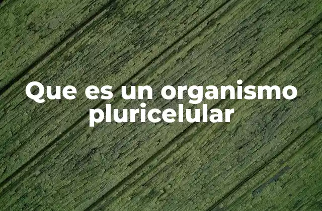Que es un Organismo Pluricelular