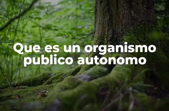 Que es un Organismo Publico Autonomo