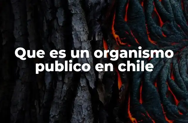 Que es un Organismo Publico en Chile