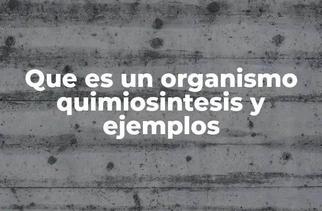Que es un Organismo Quimiosintesis y Ejemplos