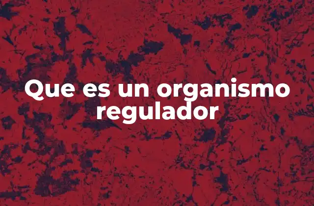 Que es un Organismo Regulador