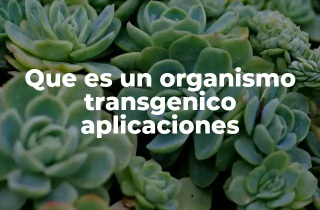 Que es un Organismo Transgenico Aplicaciones