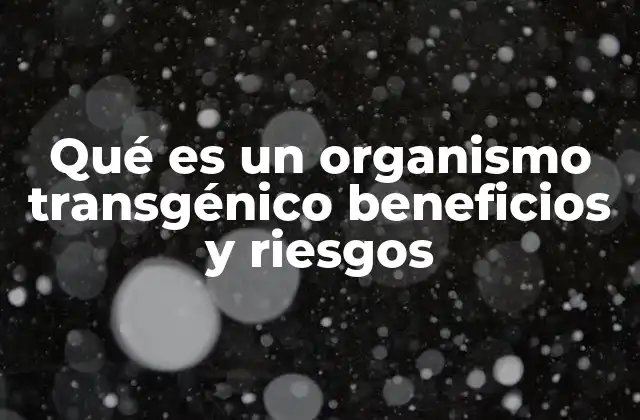 Qué es un Organismo Transgénico Beneficios y Riesgos
