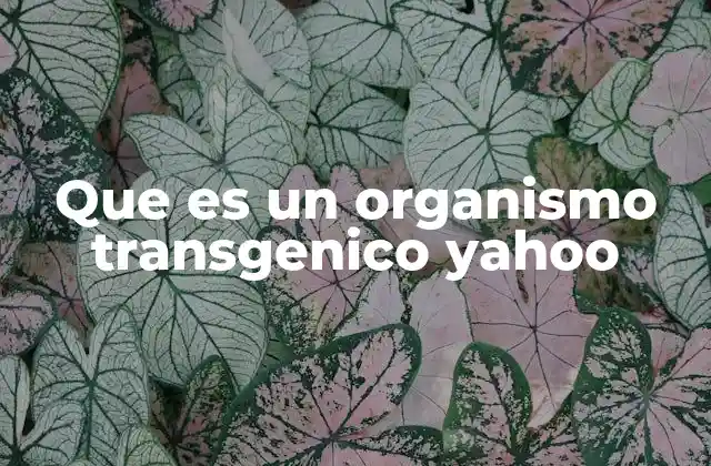Que es un Organismo Transgenico Yahoo