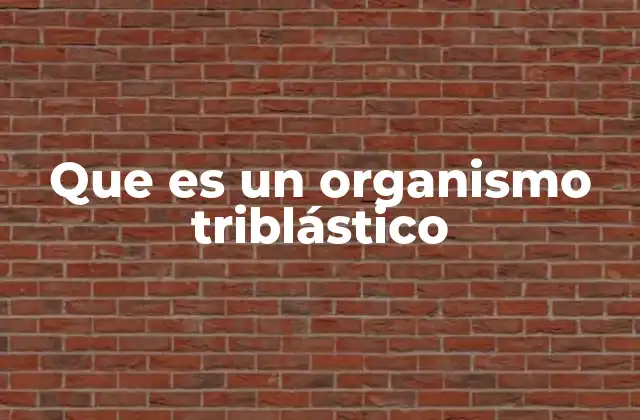 Que es un Organismo Triblástico