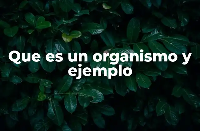 Que es un Organismo y Ejemplo
