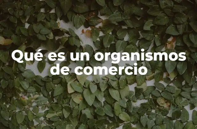 Qué es un Organismos de Comercio