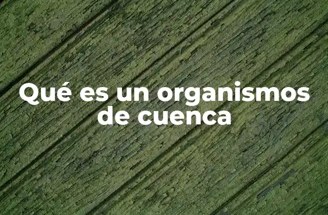 Qué es un Organismos de Cuenca