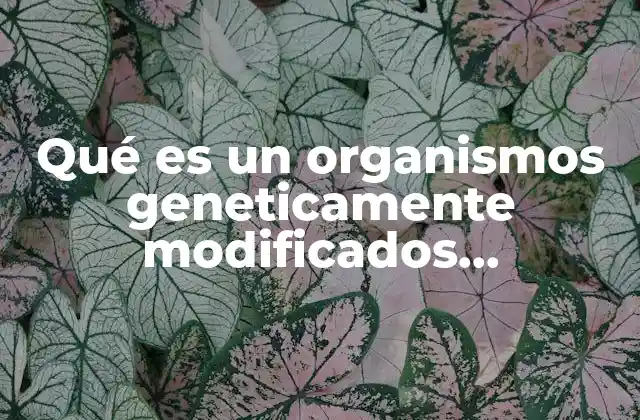 Qué es un Organismos Geneticamente Modificados Consecuencias