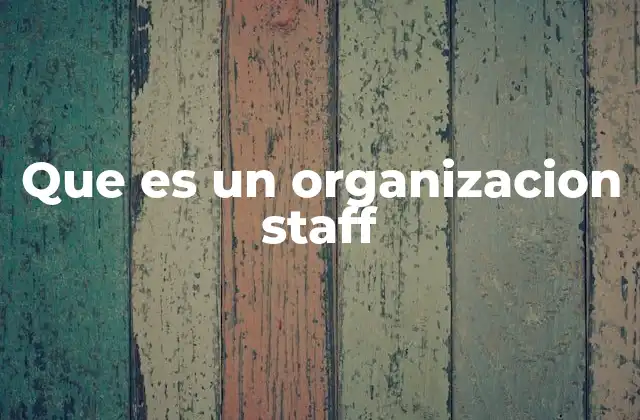 Que es un Organizacion Staff