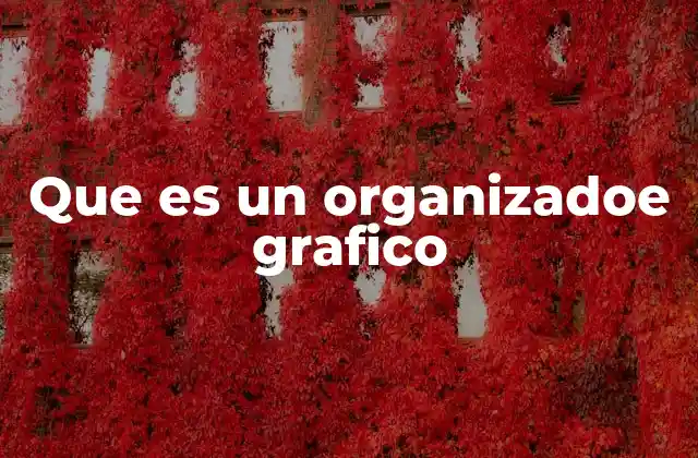 Que es un Organizadoe Grafico