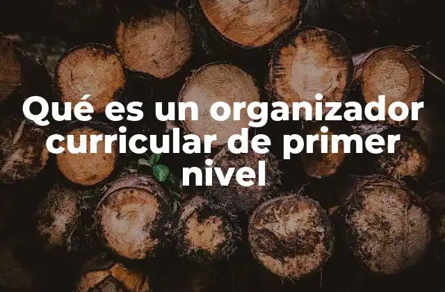 Qué es un Organizador Curricular de Primer Nivel