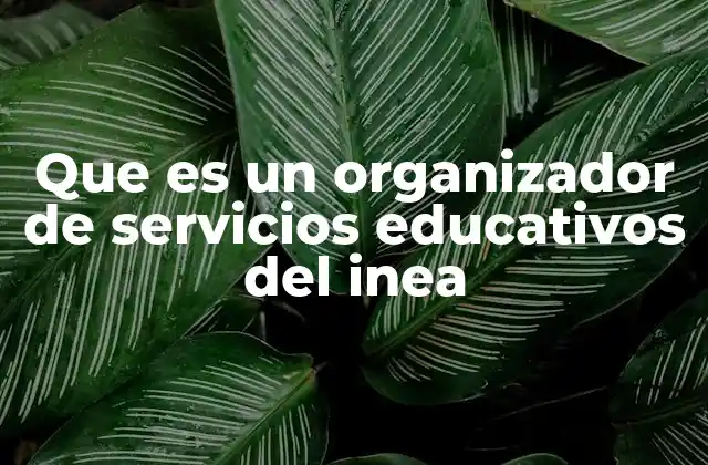 Que es un Organizador de Servicios Educativos Del Inea 2 El rol del INEA en la educación de adultos